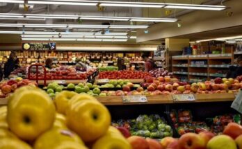apple fruit lot