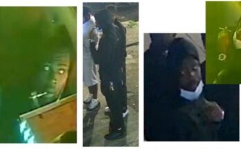 Homicide 7200 Elmwood Ave