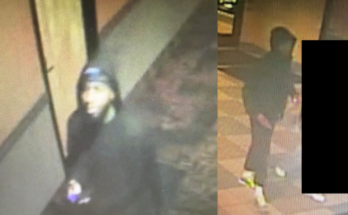 robbery suspect