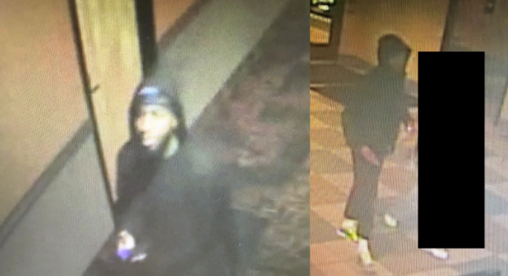 robbery suspect