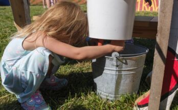 Kiddie milking machine