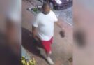Robbery. 300 block Delancey St