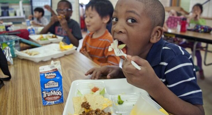school meal