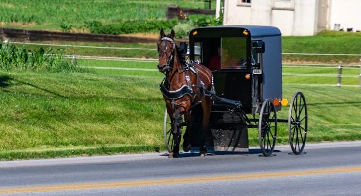 Lancaster County