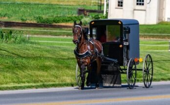 Lancaster County