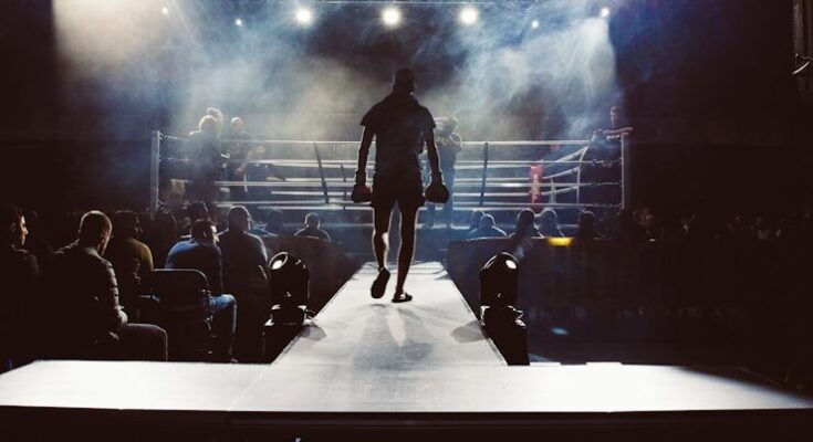 professional boxing