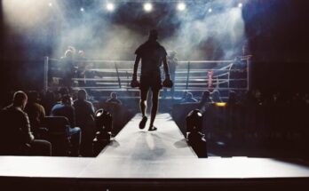 professional boxing