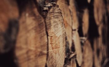 a close up of a stack of logs