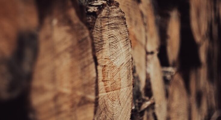 a close up of a stack of logs