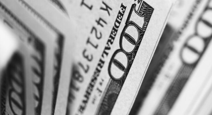 closeup photo of 100 US dollar banknotes