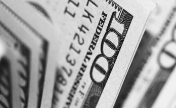 closeup photo of 100 US dollar banknotes