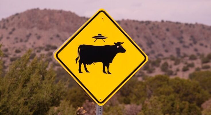 no bull road sign