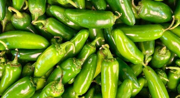 jalapeño peppers