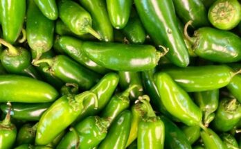 jalapeño peppers