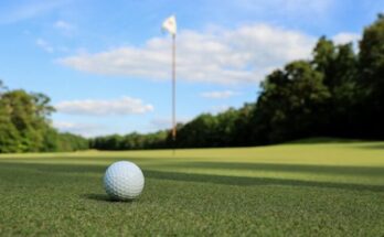 a golf ball sitting on top of a green field