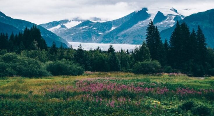 Alaska