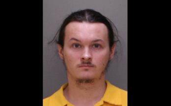 Daniel Healey Jr.