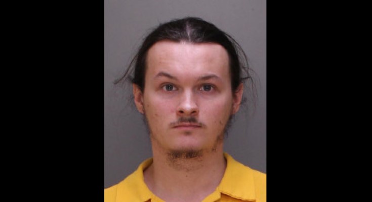 Daniel Healey Jr.