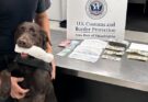 PHL K9 NitroL