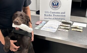 PHL K9 NitroL