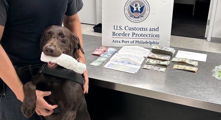 PHL K9 NitroL