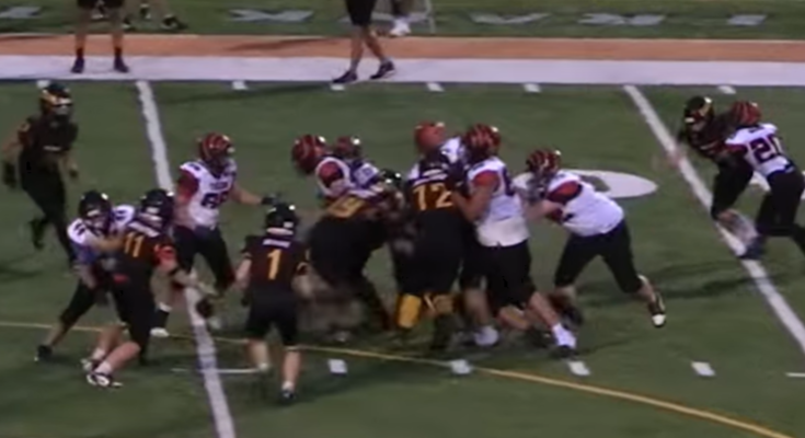 Palmer leads swarming