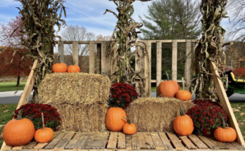 Warwick Fall Fest