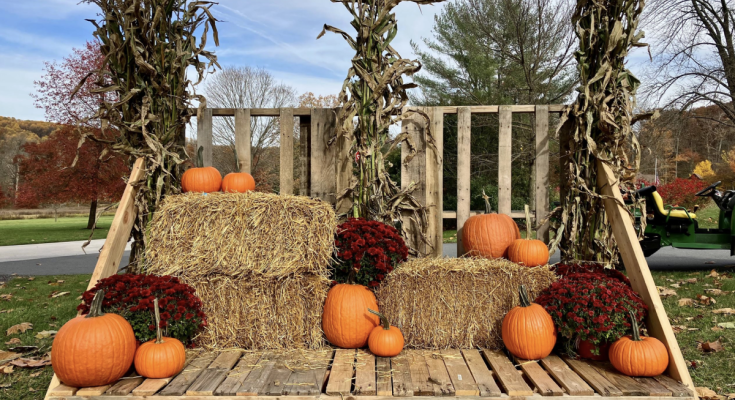Warwick Fall Fest