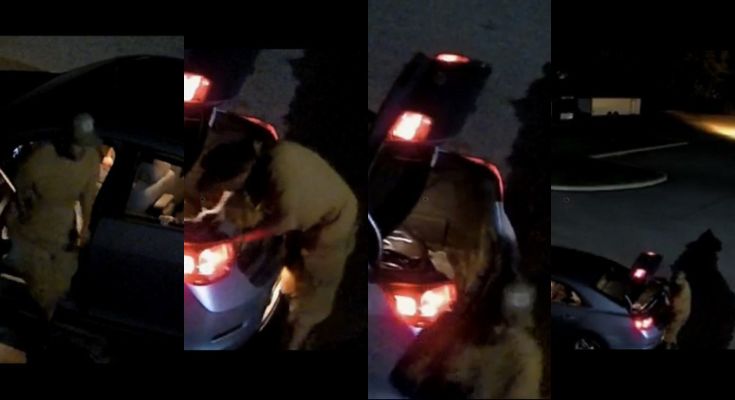 attempting to identify