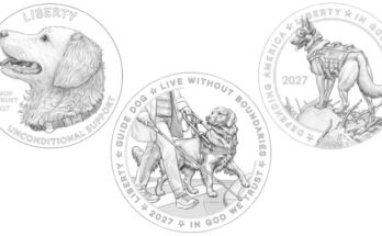 working dog design