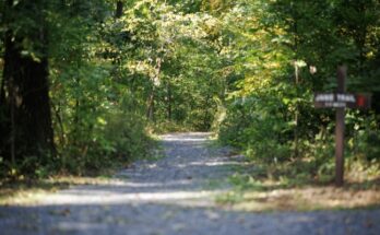 Boyd Big Tree Preserve Conservation Area