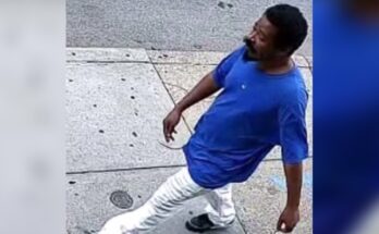 Assault suspect
