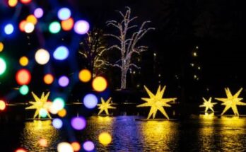 Longwood Gardens Celebrates a Cosmic Christmas