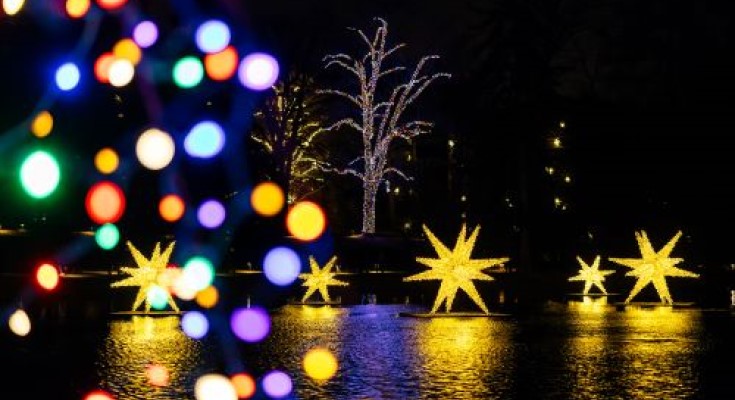 Longwood Gardens Celebrates a Cosmic Christmas