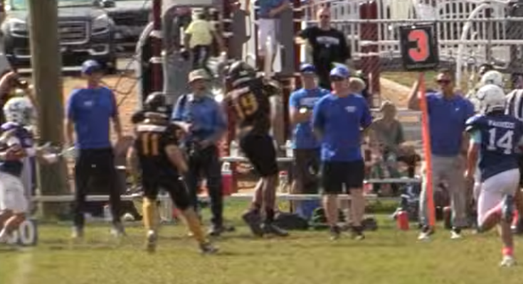 Palmer 2d-Qtr Int