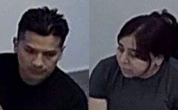 Fraud/ID Theft
