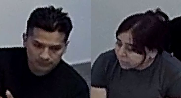 Fraud/ID Theft