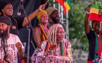 Reggae band performing on stage with flags