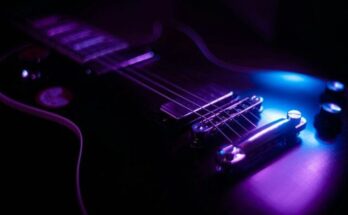 purple and black electric guitar