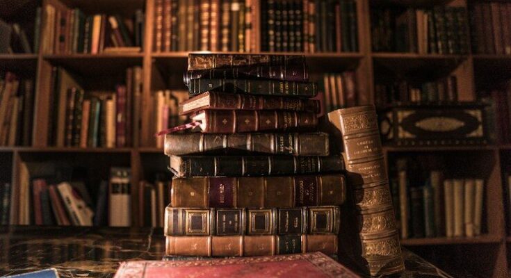 piled books on brown wooden shelf