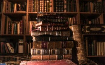 piled books on brown wooden shelf