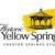 Profile picture of Chester Springs Studio